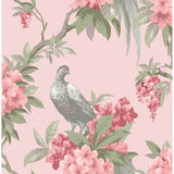 M1665 Golden Pheasant Pink Floral Wallpaper