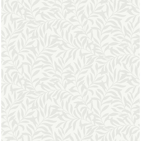 M1666 Salix Silver Leaf Wallpaper