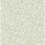M1667 Salix Sage Leaf Wallpaper