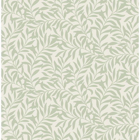 M1667 Salix Sage Leaf Wallpaper