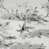 M1671 Ashdown Grey Tree Wallpaper