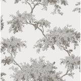 M1671 Ashdown Grey Tree Wallpaper