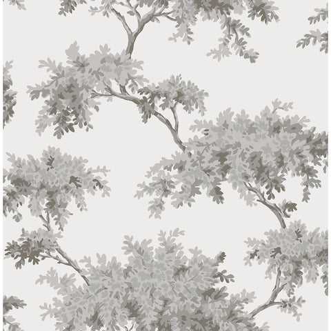 M1671 Ashdown Grey Tree Wallpaper