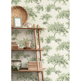M1674 Ashdown Sage Tree Wallpaper