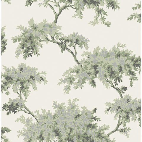M1674 Ashdown Sage Tree Wallpaper
