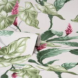 M1692 Meridian Parade Green Tropical Leaves Wallpaper