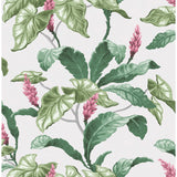 M1692 Meridian Parade Green Tropical Leaves Wallpaper