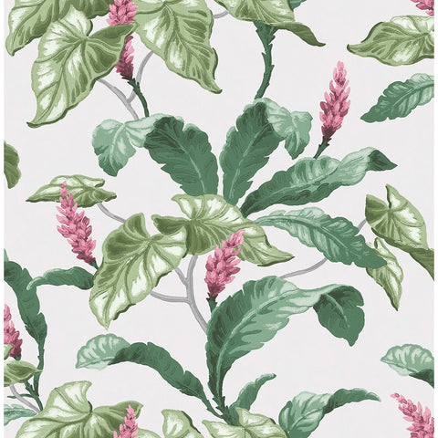 M1692 Meridian Parade Green Tropical Leaves Wallpaper