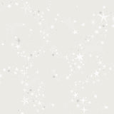 MB29019 Stjärnhimmel Grey Wallpaper