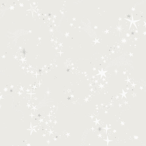 MB29019 Stjärnhimmel Grey Wallpaper