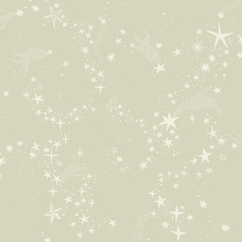 MB29021 Stjärnhimmel Light Green Wallpaper