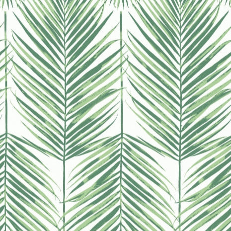 MB30034 Paradise Palm Greenery Wallpaper
