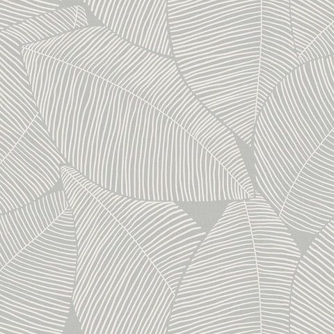 MB31305 Summer Magnolia Daydream Gray Wallpaper