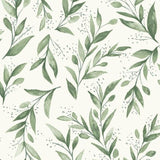 ME1535 Olive Branch Olive Grove Wallpaper