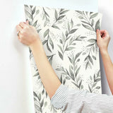 ME1537 Olive Branch Charcoal Wallpaper