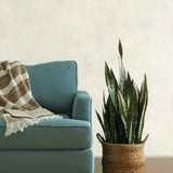 ME1545 Plaster Finish Wallpaper