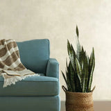 ME1546 Plaster Finish Wallpaper