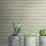 MH1567 Skinnylap Light Grey Wallpaper 