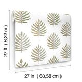 MT5603 Miramar Desert Palm Wallapper