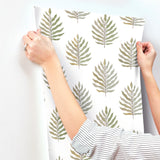 MT5603 Miramar Desert Palm Wallapper