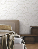 MT5623 Suite Style Wallpaper