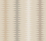 MT5643 Woven Desert Wallpaper