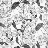 7176 Modern Floral Black & White Leaf Outline plants contemporary Wallpaper FP2660