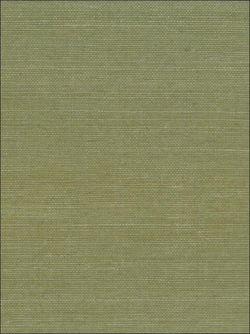 NA208 Sisal Luxury Textured 3D Wallpaper