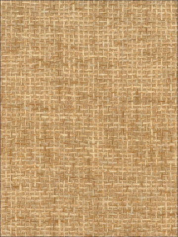 NA501 Natural Resource Paperweave Wallpaper