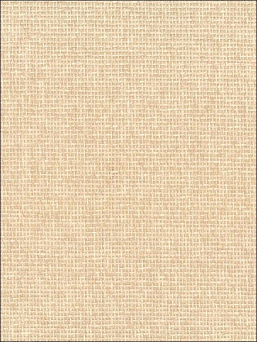 NA506 Natural Resource Paperweave Wallpaper