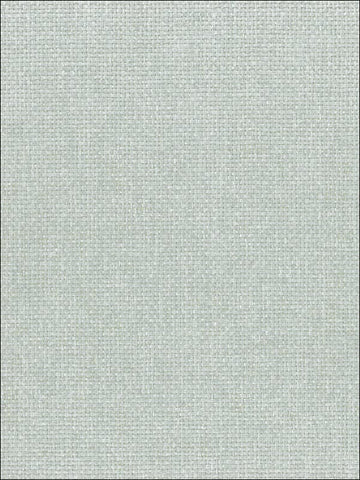 NA513 Natural Resource Paperweave Wallpaper