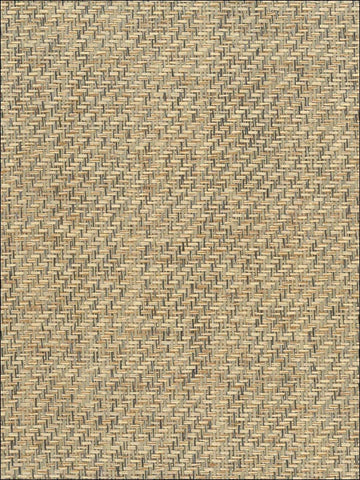 NA525 Natural Resource Paperweave Wallpaper