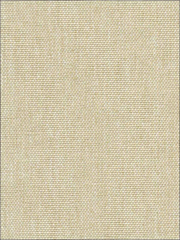 NA601 Natural Resource Paperweave Wallpaper