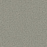 ND3010N Dandy High Performance Wallpaper