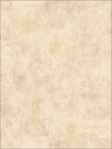  NE50407 Atelier Stucco Wallpaper