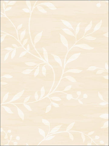 NE50807 Couture Wallpaper