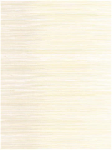 NE51105 Catwalk Stria Wallpaper