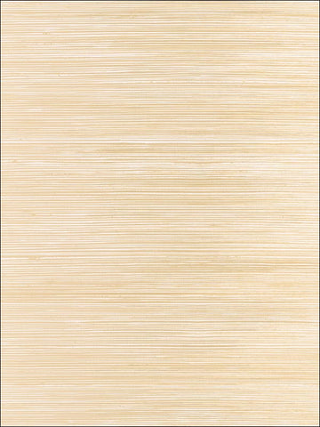 NE51107 Catwalk Stria Wallpaper