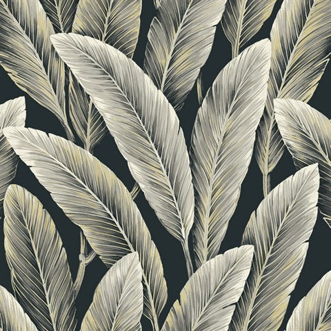 NG50110X Foliage Midnight Large Leaf Wallpaper