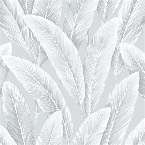 NG50111X Foliage Natural Grasscloth Silver Lining Large Leaf Wallpaper