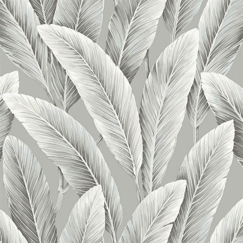 NG50113X Foliage Stone Large Leaf Wallpaper