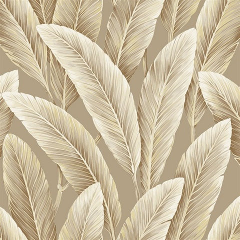NG50115X Foliage Tan Large Leaf Wallpaper