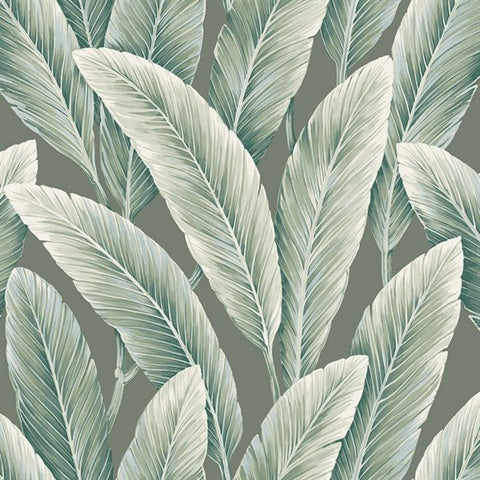 NG50116X Foliage Emerald Large Leaf Wallpaper