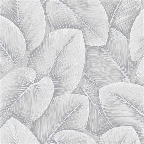 NG50134X Lush Natural Grasscloth Sliver Lining Wallpaper 