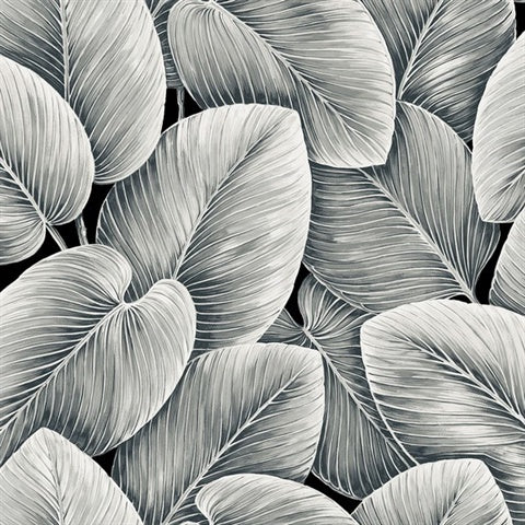 NG50135X Lush Leaf Jet Wallpaper