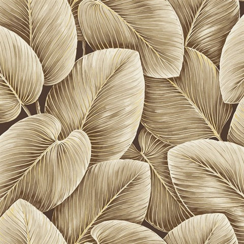 NG50137X Lush Leaf Chocolate Wallpaper
