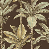 NG50159X Breeza Chocolate Tropical Leaf Stripe Wallpaper