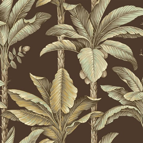 NG50159X Breeza Chocolate Tropical Leaf Stripe Wallpaper