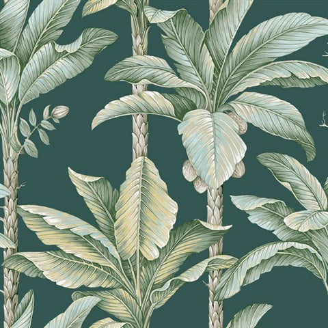 NG50163X Breeza Hunter Green Tropical Leaf Stripe Wallpaper