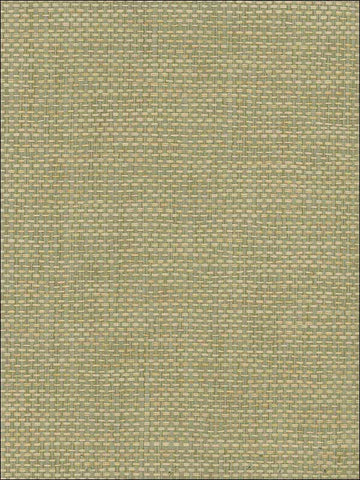 NR107X Natural Resource Paperweave Wallpaper